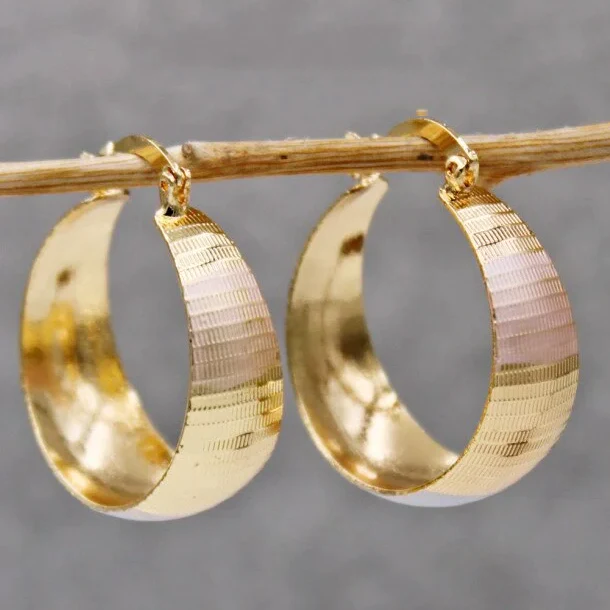 Luxe Élégance Boucles d'Oreilles en Or